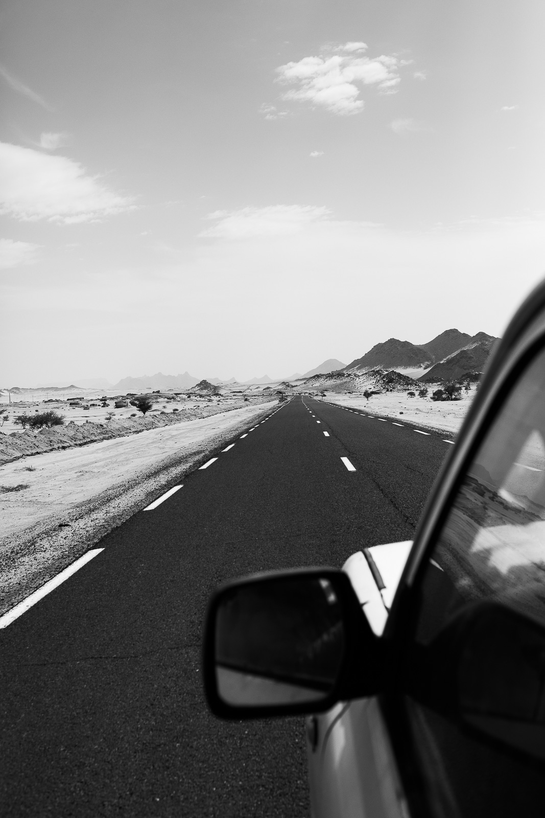 Human & Nature  outoftime 5